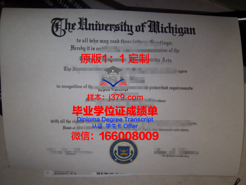 波城大学毕业证展示