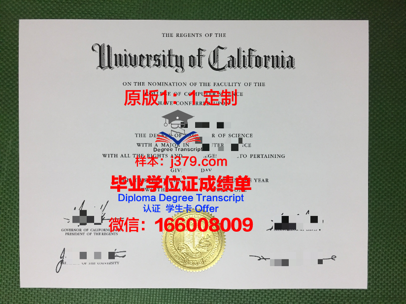 波美拉尼亚医科大学毕业证尺寸