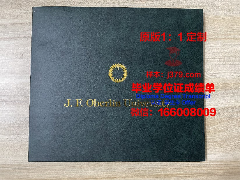 波尔多第三大学毕业证补办(波尔多大学申请条件)