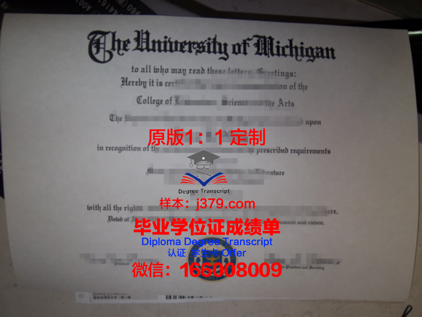 弗鲁米嫩塞联邦大学毕业证是什么样子(弗鲁米嫩塞对塞阿拉的比分预测)