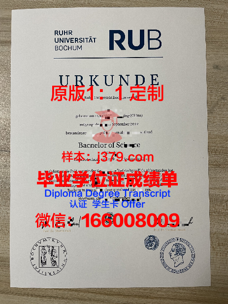 波鸿大学证书成绩单