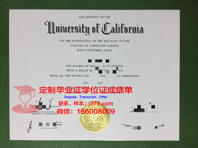 纽曼大学毕业证成绩单:一份承载荣誉与梦想的证明