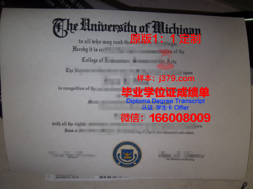 立万国际美术学院本科毕业证:跃跃欲试的艺术新秀