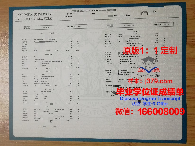 波大成绩单：揭示当代大学生真实写照