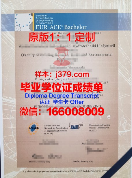 科特布斯勃兰登堡工业大学毕业证尺寸(德国科特布斯勃兰登堡工业大学)