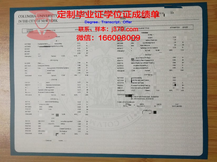没有大学成绩单——勇敢面对教育的另一种可能