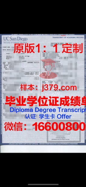 彼尔姆国立师范大学成绩单:教育品质的见证