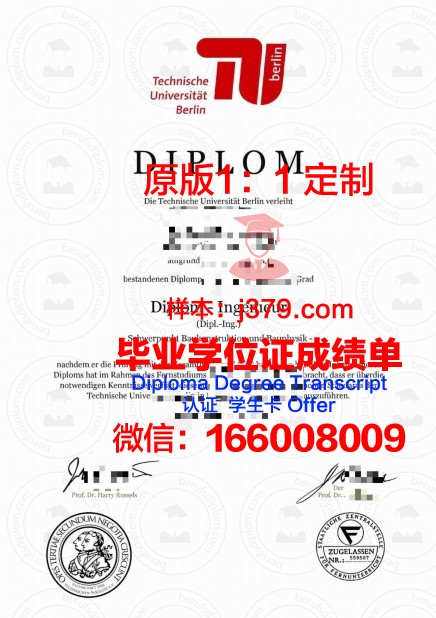 柏林工程和经济应用技术大学毕业学位