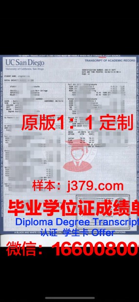 波多西科学与技术研究院成绩单:探索科技创新之路,助力国家发展