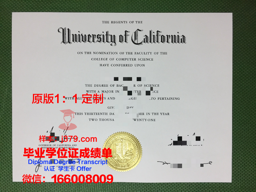 科布伦茨应用技术大学毕业证成绩单:一张纸的重量