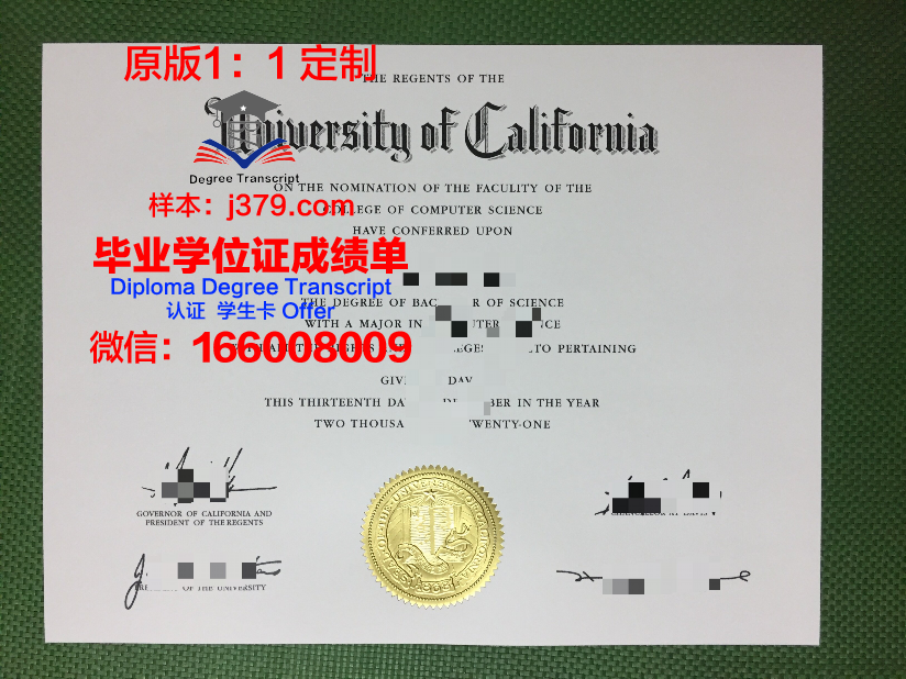 羯陵伽工业技术学院本科毕业证:开启职业生涯的金钥匙