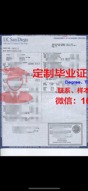没有大学成绩单——勇敢面对教育的另一种可能