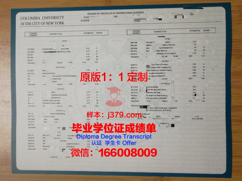 美纽成绩单：开启全球化教育新篇章