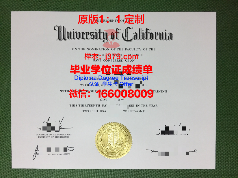 波尔多大学本科毕业证：一份承载荣誉与梦想的证书