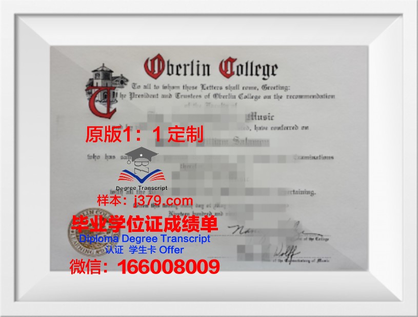柏林工程与经济应用技术大学学位证(柏林工程学院)