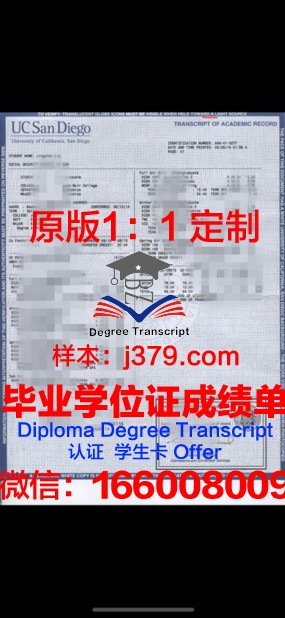 美纽成绩单：开启全球化教育新篇章