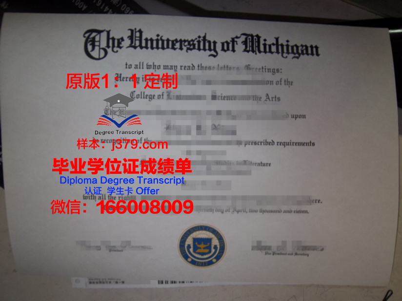 耐卡本科毕业证：开启职业生涯的黄金钥匙