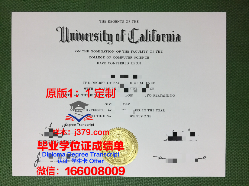 波恩-莱茵-锡格应用技术大学毕业证封面