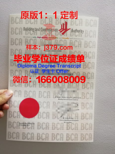 波尔多国立高等建筑与景观学院毕业证长什么样(波尔多大学建筑学院)
