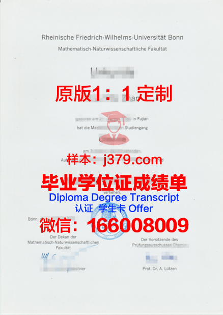 波恩储蓄银行财团学院博士毕业证书(波恩大学经济学博士)