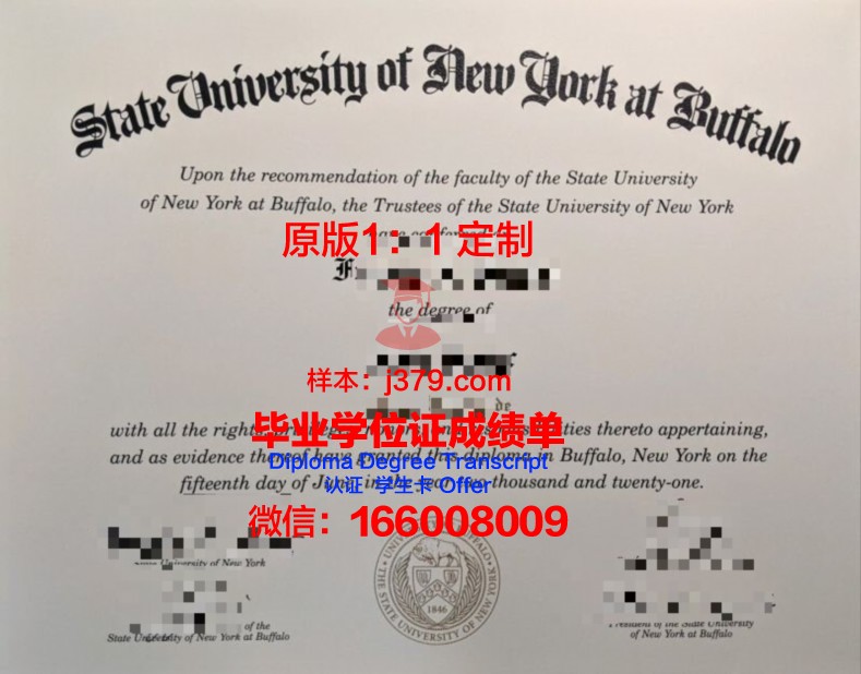 纽约州立大学布法罗分校毕业证高清图(纽约州立大学布法罗分校费用)