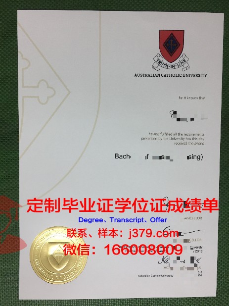 林堡天主教大学毕业证:承载荣誉与梦想的证书