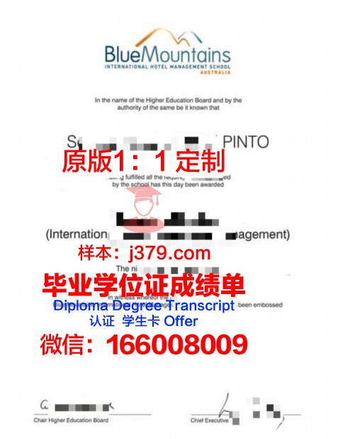 波尔多综合理工学院毕业证书模板(波尔多经济管理学院)