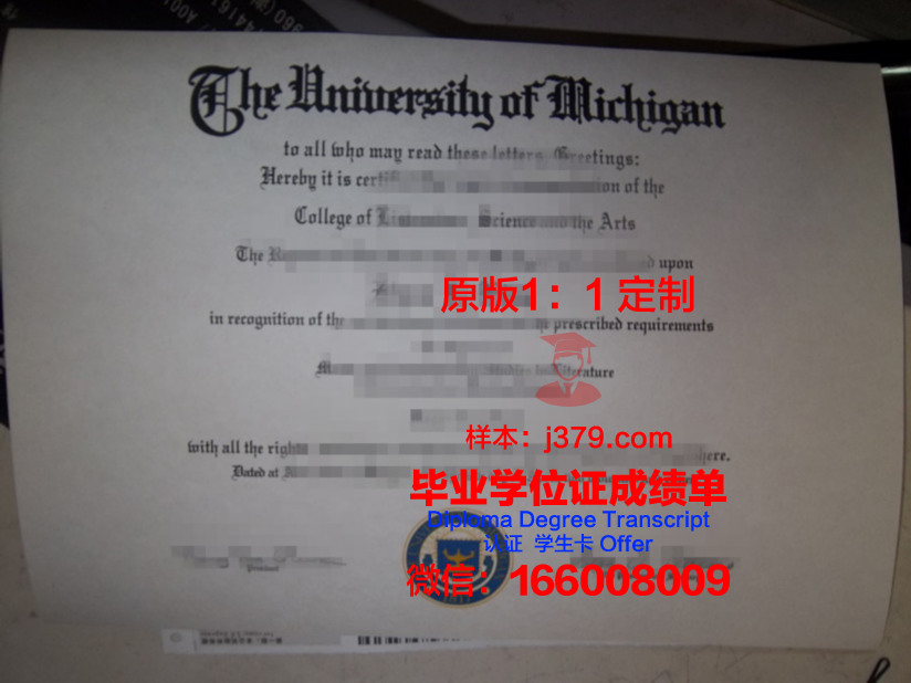 彼尔姆国家研究型理工大学毕业证尺寸(彼尔姆国立大学校徽)