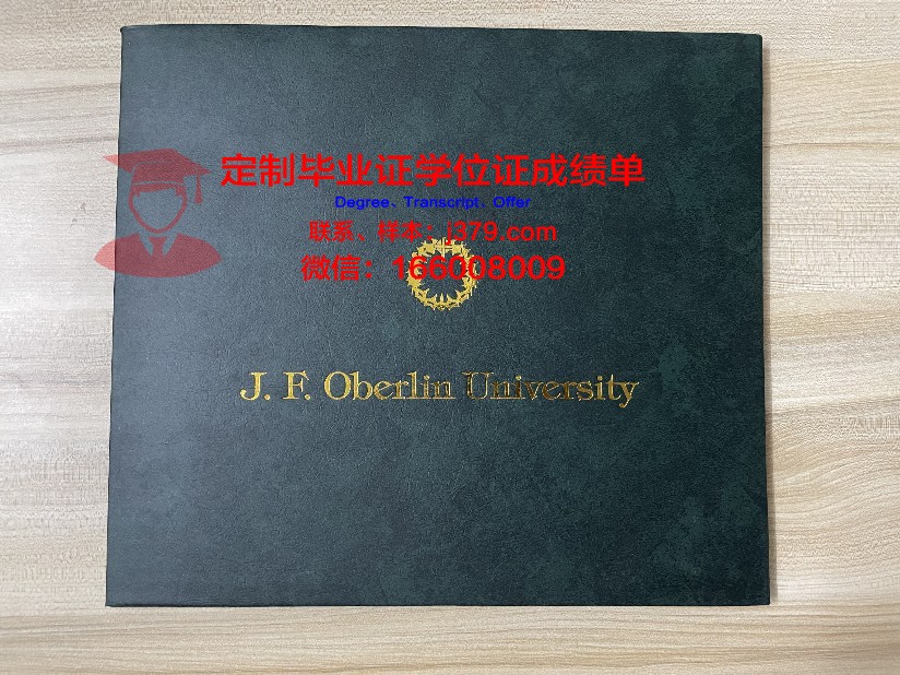 波洛茨克国立大学成绩单(波罗茨克大学)