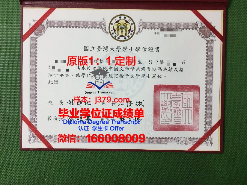 彼尔姆国家研究型理工大学毕业证书图片模板(彼尔姆国立大学国内认可吗)
