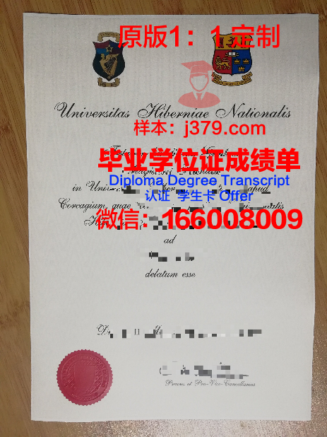 爱尔兰国立大学学位证(爱尔兰学位评分标准)