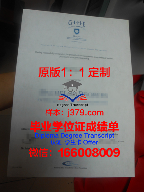 里昂国立应用科学学院毕业证书图片模板(里昂国立高等建筑学院)