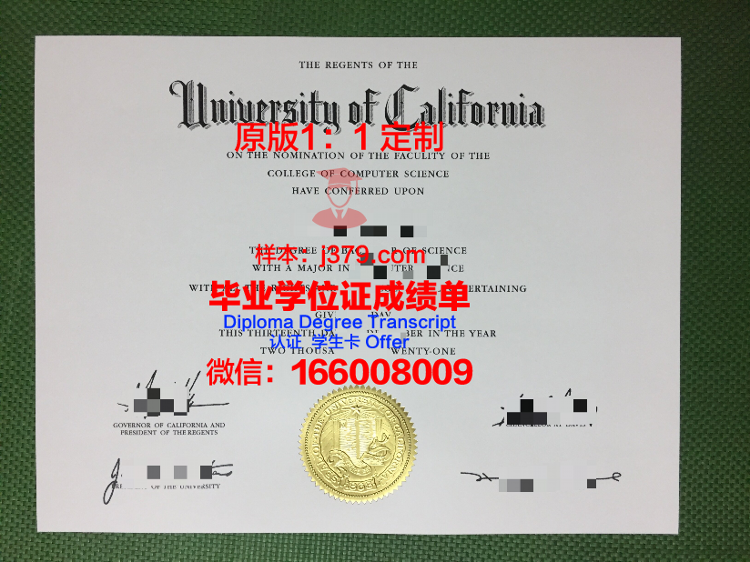 那不勒斯腓特烈二世大学本科毕业证:承载历史与荣誉的证书