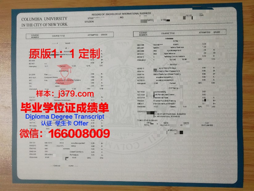 那牙卡雷斯大学学位成绩单定制:探究其背后的市场需求与道德困境