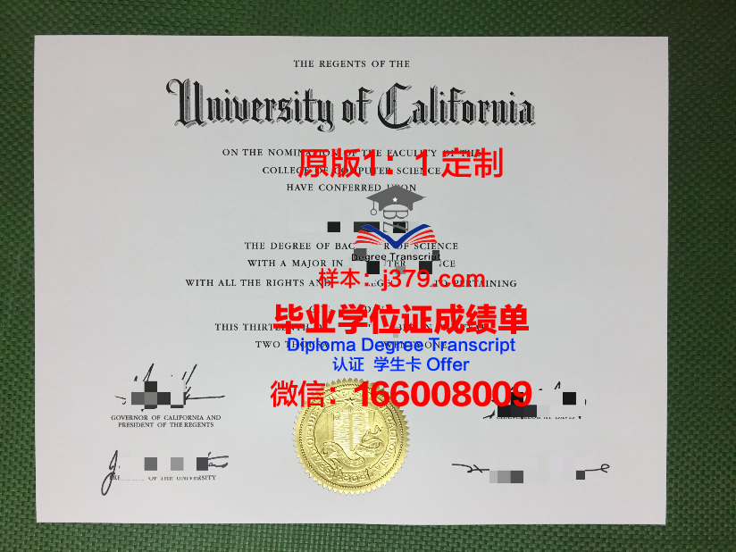 里尔大学毕业证成绩单怎么查(里尔大学毕业证成绩单怎么查的)