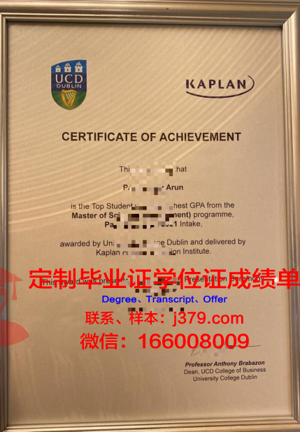 都柏林理工大学成绩单：解锁学术成就的密码