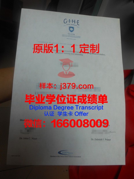 里昂应用科学学院拿不了毕业证(法国里昂国立应用科学学院怎么样)