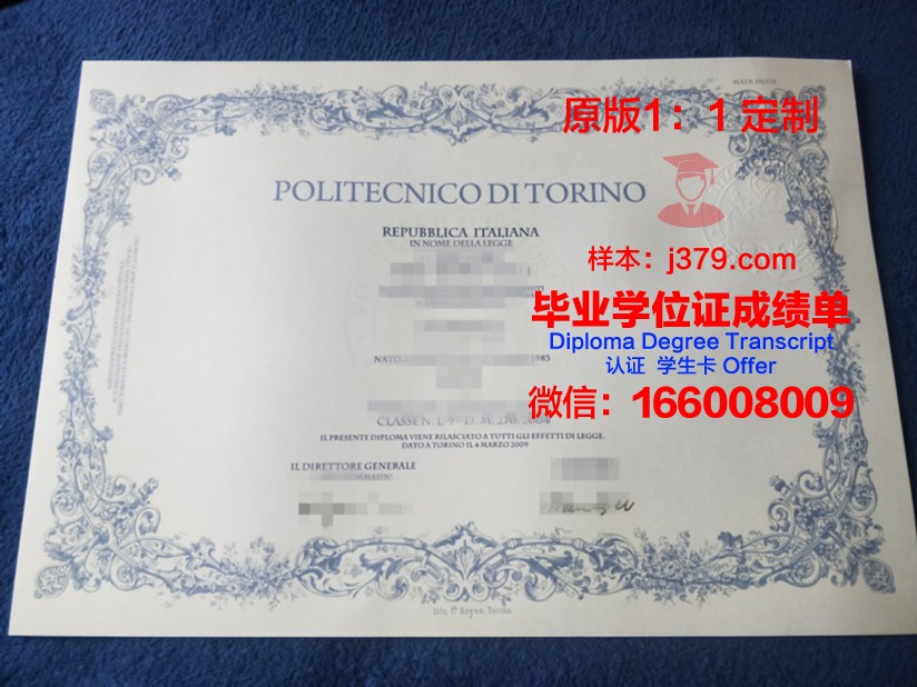 都灵美术学院毕业证书(美术院校毕业证图片)