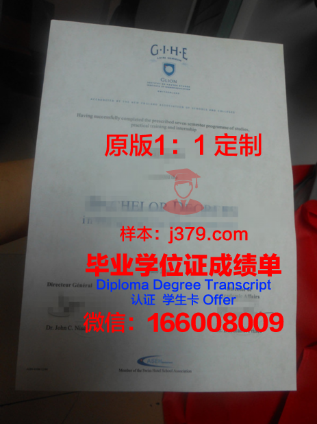里昂学院毕业证(里昂大学本科申请条件)