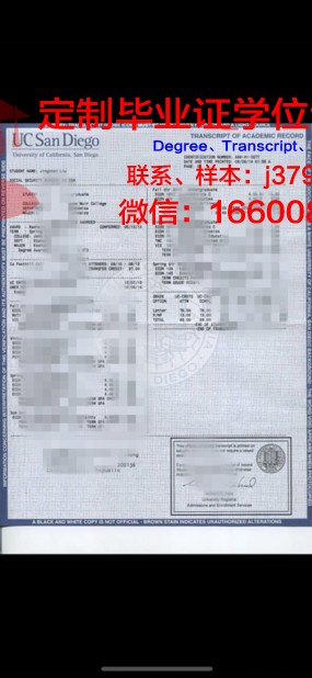 那牙卡雷斯大学学位成绩单定制:探究其背后的市场需求与道德困境
