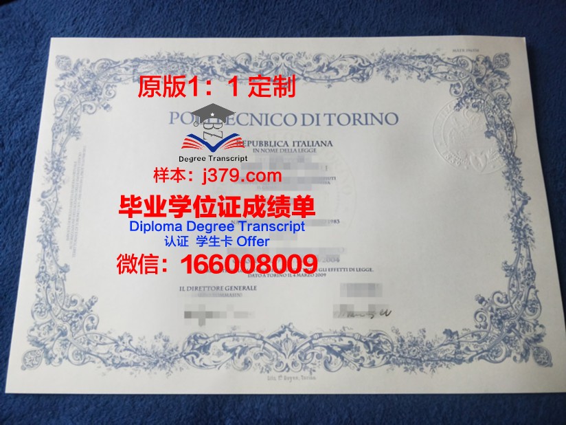 都灵美术学院毕业证：艺术殿堂的通行证