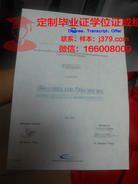 里昂大学里昂国立应用科学学院毕业证样本(里昂理工学院)