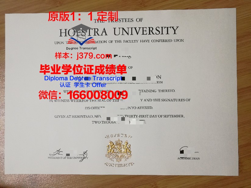 里加斯特拉迪什大学毕业证壳子