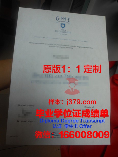 里昂国立应用科学学院毕业证书图片模板(里昂国立高等建筑学院)