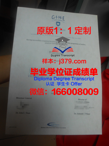 里昂天主教工艺学院毕业证高清图(里昂天主教大学语言学费)