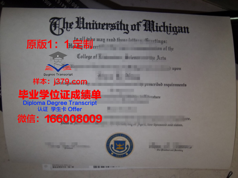 那不勒斯腓特烈二世大学本科毕业证:承载历史与荣誉的证书