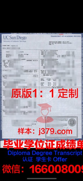 那牙卡雷斯大学成绩单:一份反映教育质量的“晴雨表”