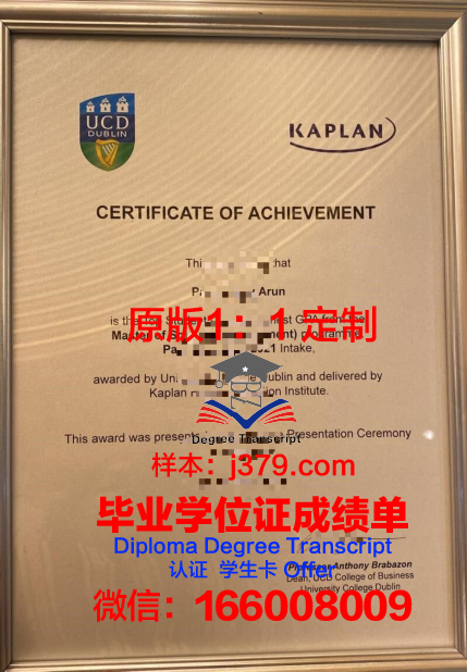 都柏林理工学院学历证书(都柏林大学毕业证)