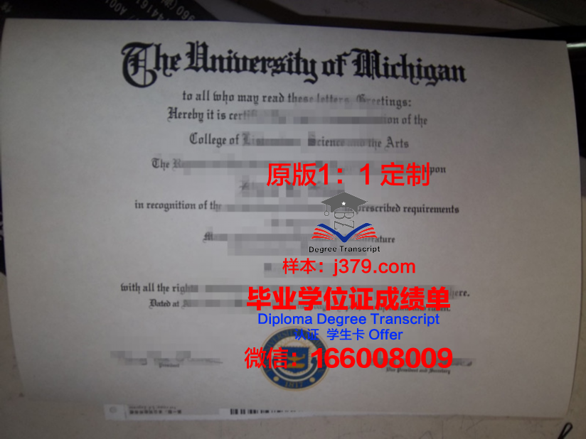 里尔大学毕业证成绩单怎么查(里尔大学毕业证成绩单怎么查的)