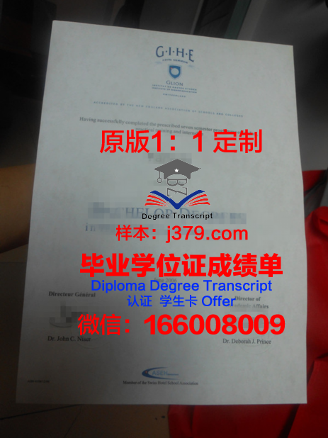 里昂应用科学学院拿不了毕业证(法国里昂国立应用科学学院怎么样)
